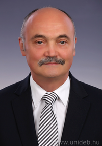 Prof. Dr. András Berta