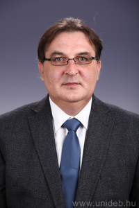 Prof. Dr. Béla Fülesdi