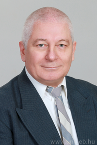 Prof. Dr. Tamás Bányász