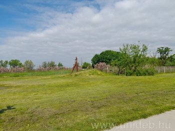 Madarak és Fák napja 2023 3-4. évfolyam