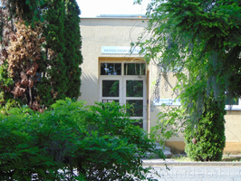 Patológia (Berettyóújfalu)