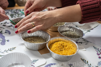 20260126 Gyógynövénytanácsadó a karon