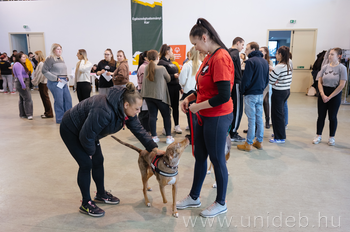 20260226 V. Inkluzív Egészség- és sportnap, ETK, DE, FM BS