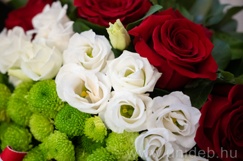 20250313 Március 15 ünnepség DE, MP