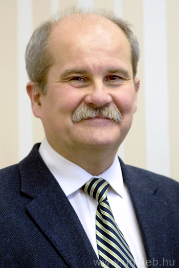 Prof. Dr. Dénes Páll